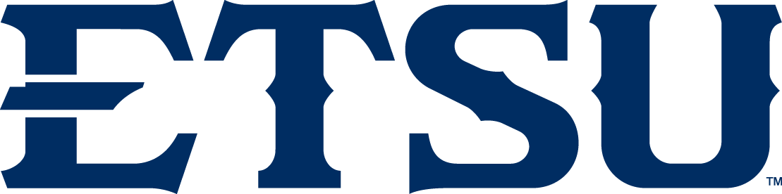 ETSU Buccaneers 2014-Pres Wordmark Logo v2 DIY iron on transfer (heat transfer)